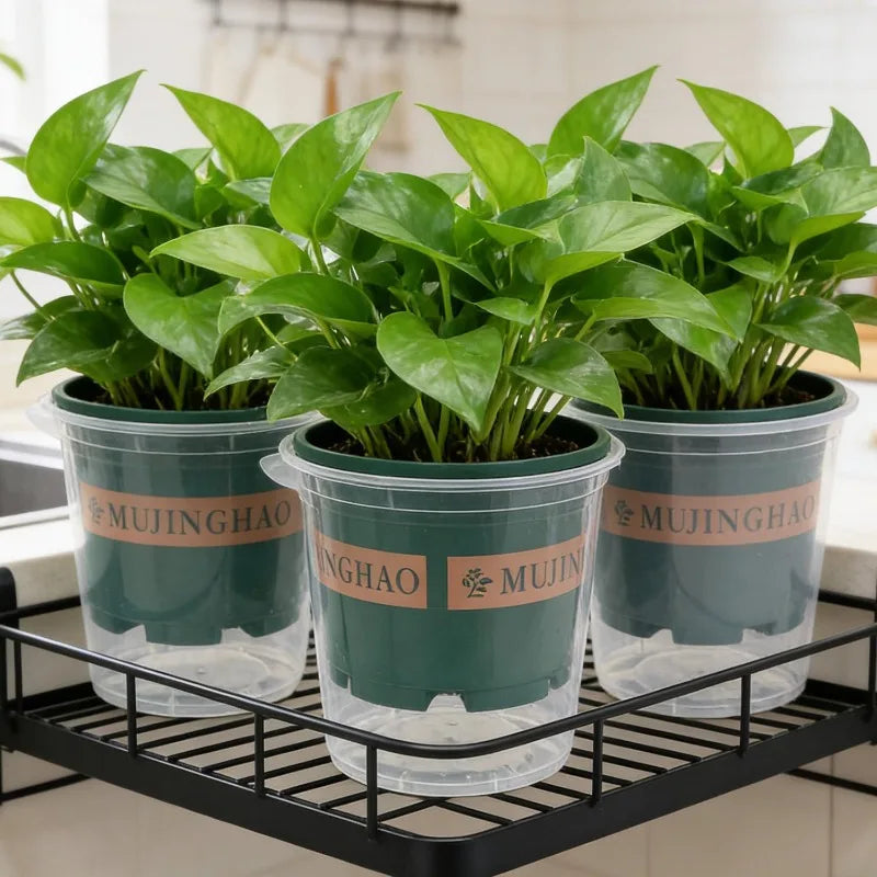 Automatic Water Absorbing Flower Pots Lazy Person Fern Breathable Water Easy Fill Root Protection Home Windowsill Green Plants